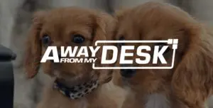 Photo 3 of Ginny and Ronny , two Ruby King Charles Cavaliers with Away From My Desk Logo on top