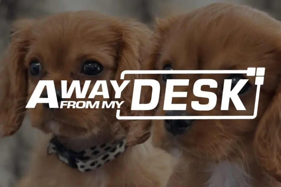 Photo 3 of Ginny and Ronny , two Ruby King Charles Cavaliers with Away From My Desk Logo on top