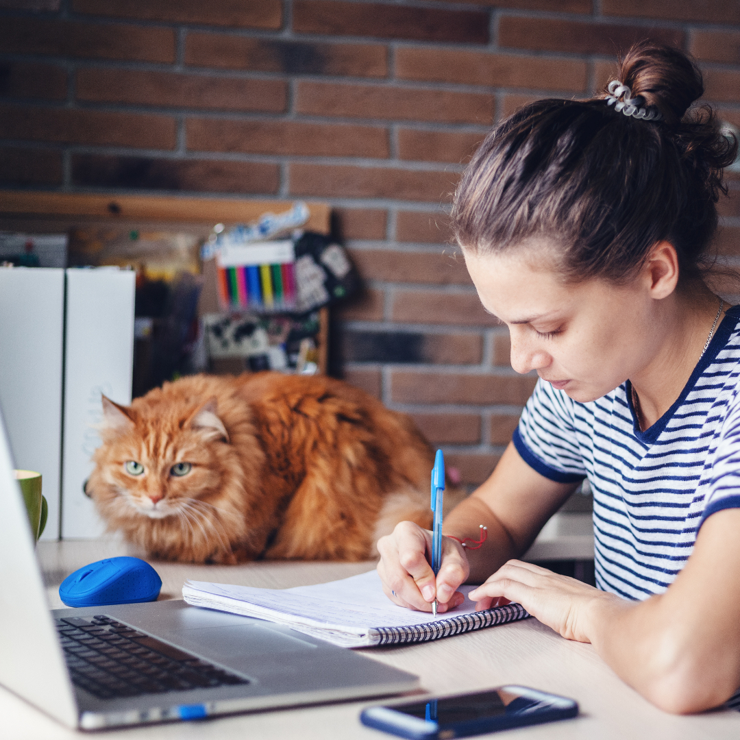 Lady sat at a desk at home, concentrating whilst writing down notes in a notebook, with her laptop beside her. Her ginger cat is sat comfortably besides her